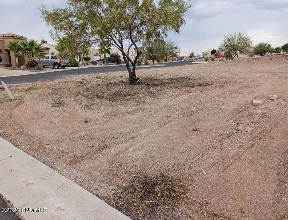 4118 Adaro Way - Photo 1