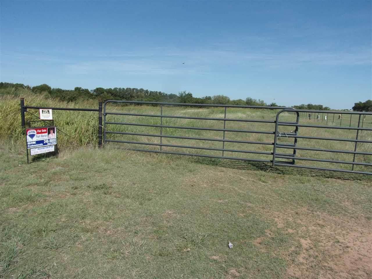 10000 Pecan Rd - Photo 1