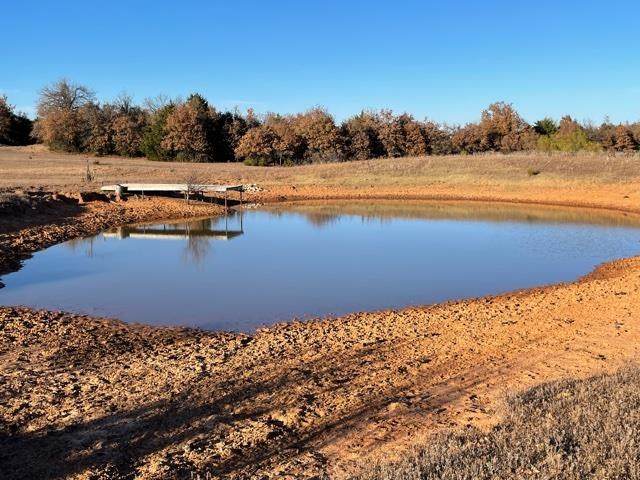 TBD State Hwy 17 - Photo 1