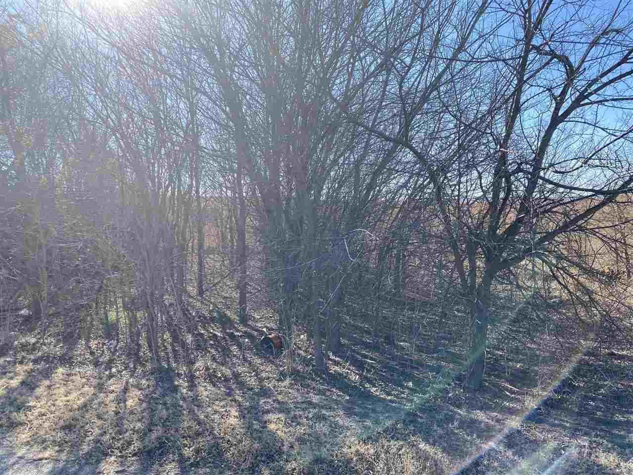 TBD Sun Valley Dr - Photo 1