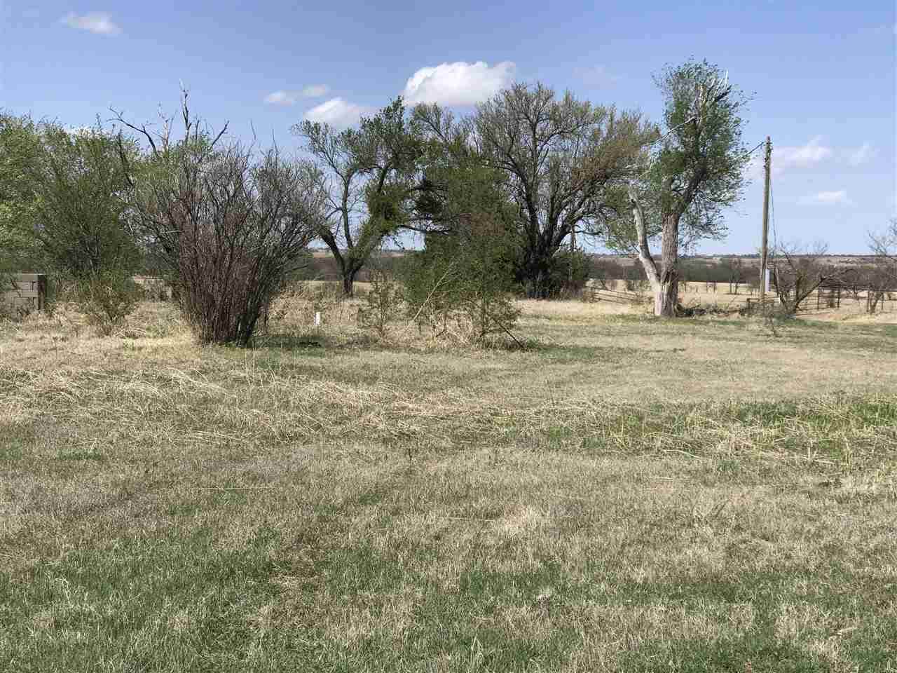 12907 Carlson Rd - Photo 1
