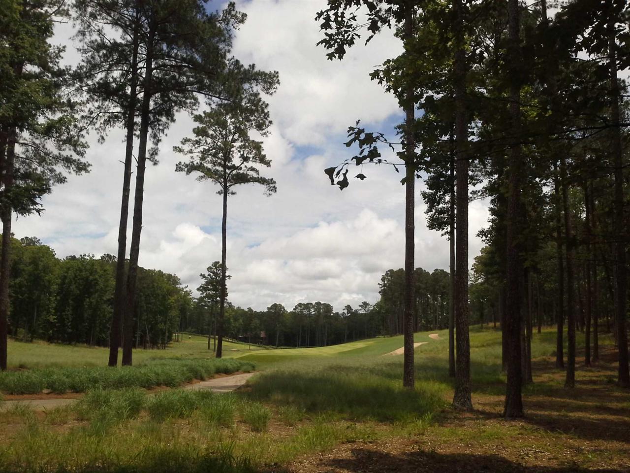 1050 Lingering Creek - Photo 1