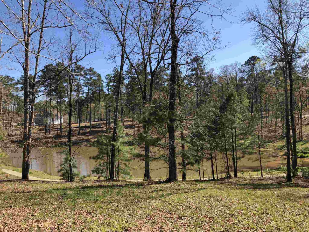 1040 Mashie Drive - Photo 1