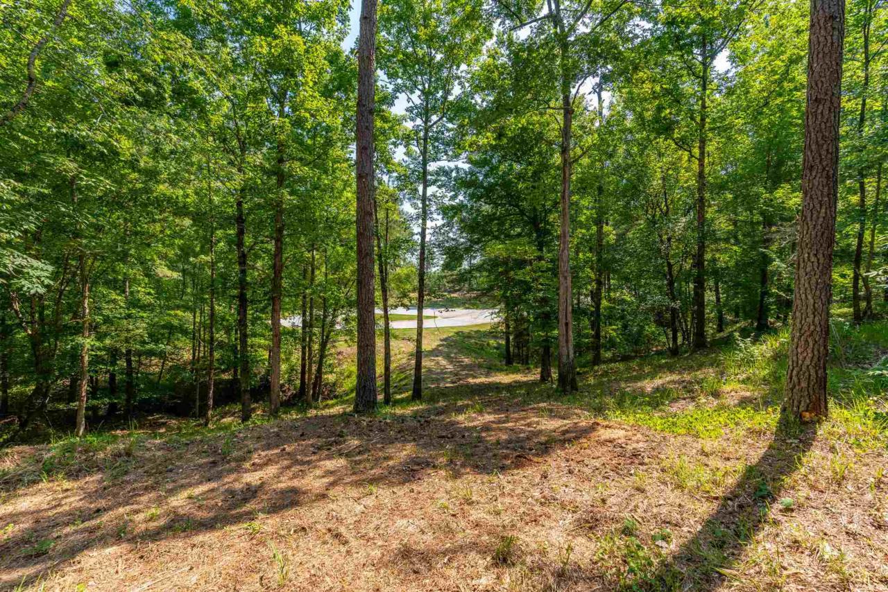 1050 Kirk Lane - Photo 1