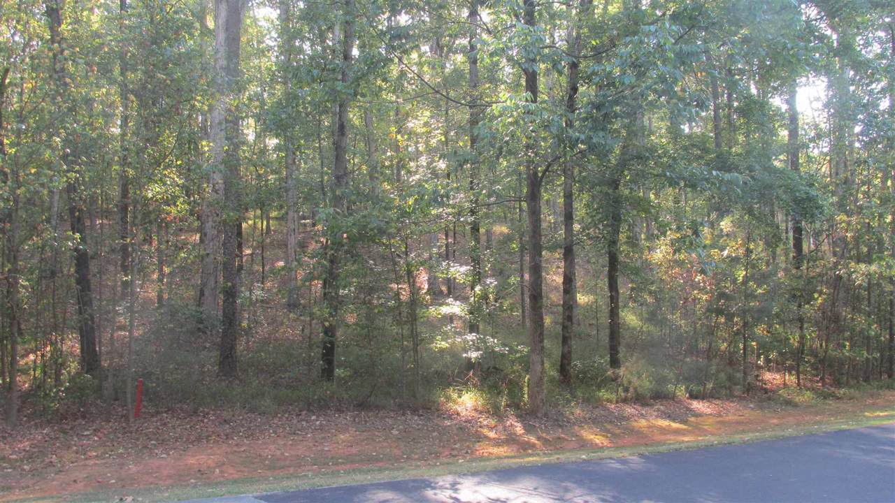 1171 Callahans Ridge Road - Photo 1