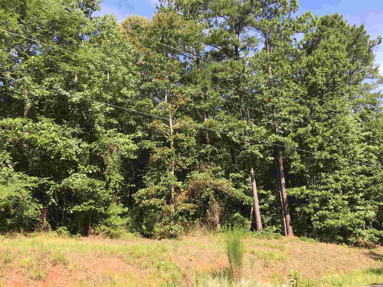 Lot 22 Winding River Drive - Photo 1