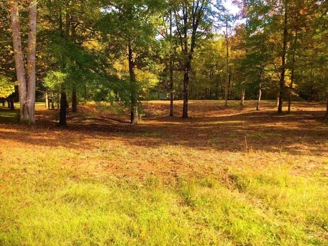 0 Lakeview Estates Circle - Photo 1