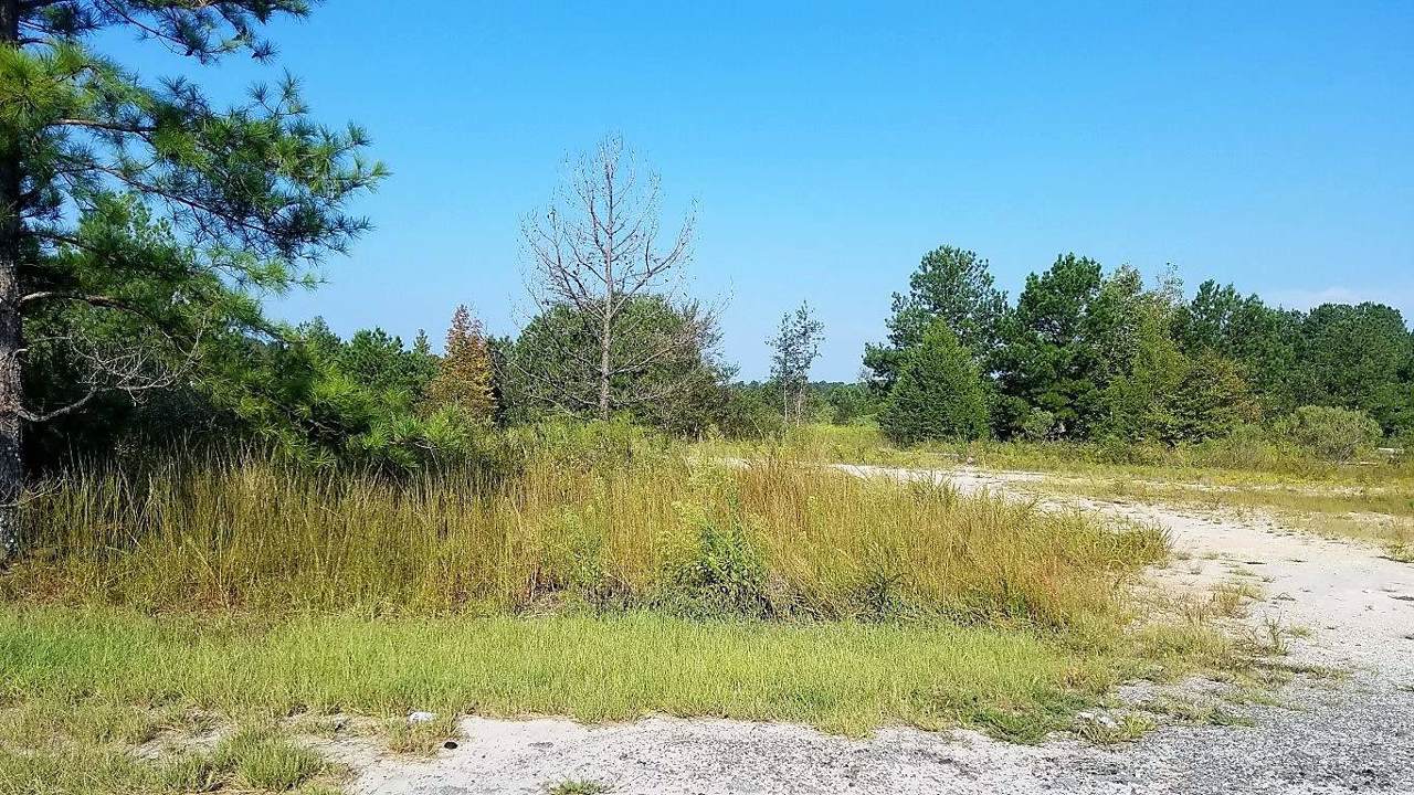0 Old Union Point Road - Photo 1