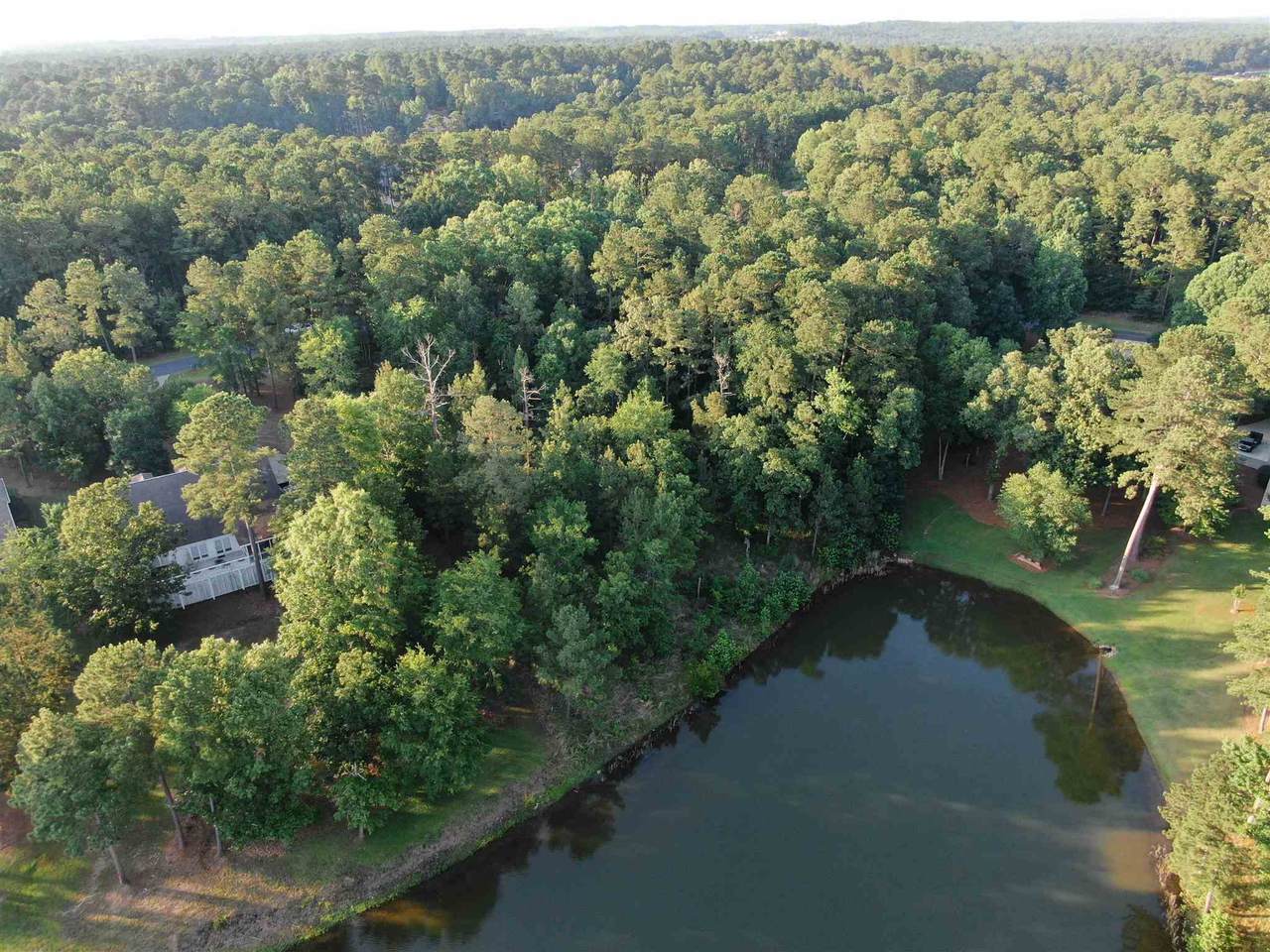 1020 Big Water Point - Photo 1
