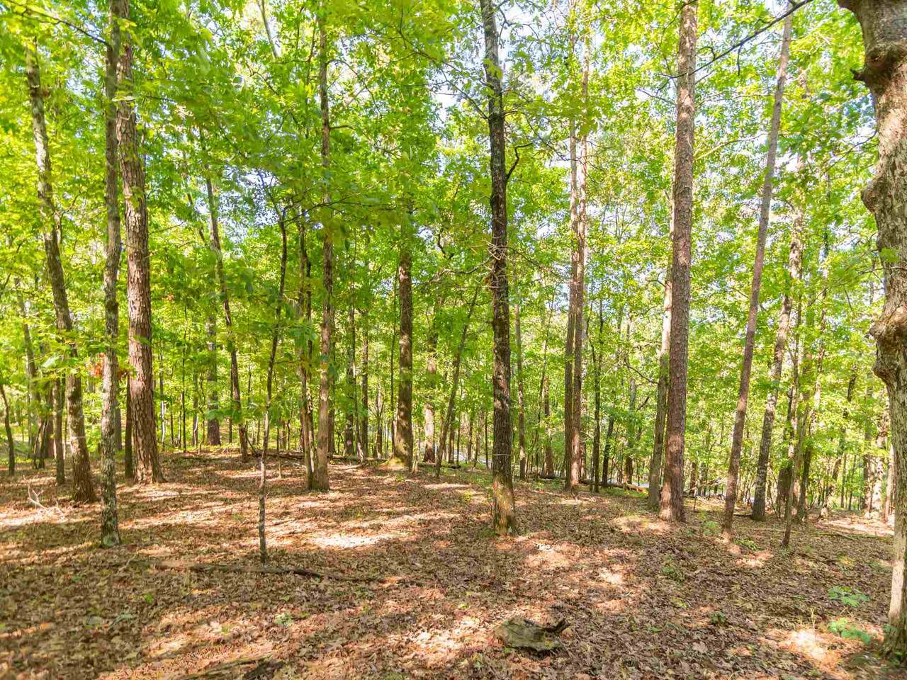 1020 Turners Crest - Photo 1