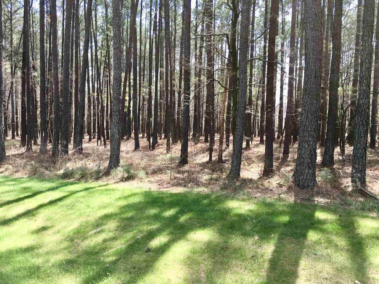 1010 Inverness Drive - Photo 1