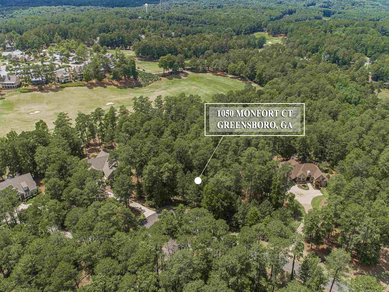 1050 Monfort Court - Photo 1