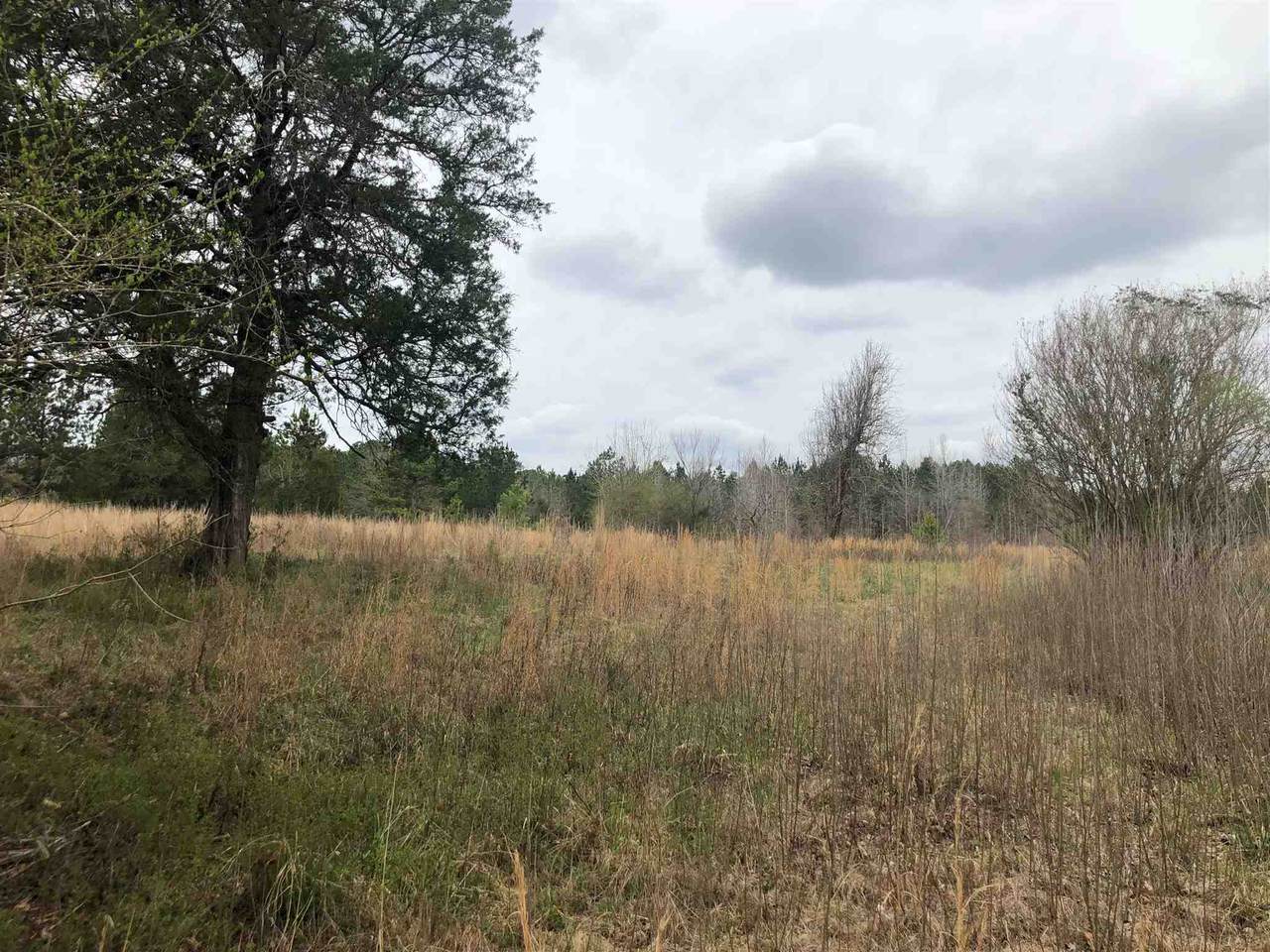 2911 Covey Rise Farm Road - Photo 1