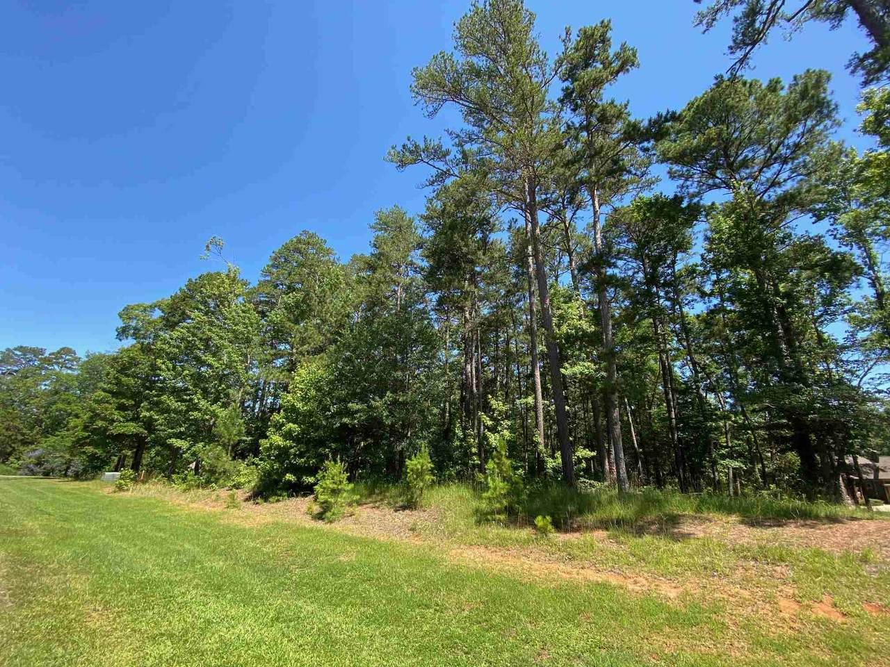 1031 Neils Fort - Photo 1