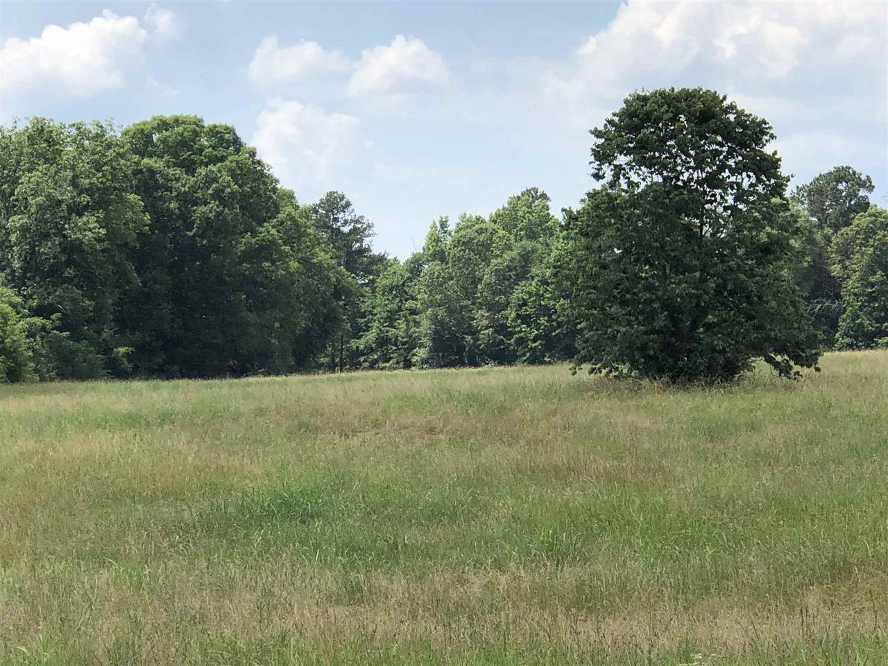 0 Ponder Pines Road - Photo 1