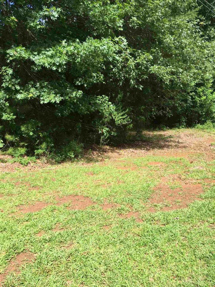Lot 16 Ellman Drive - Photo 1