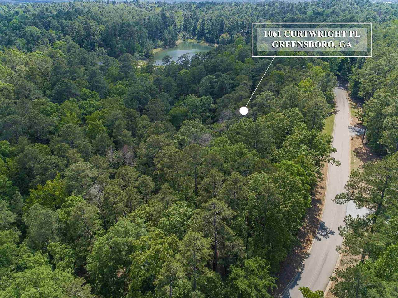1061 Curtright Place - Photo 1