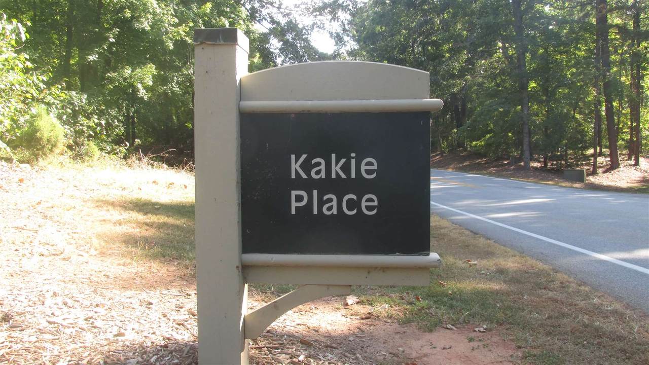 1011 Kakie Place - Photo 1