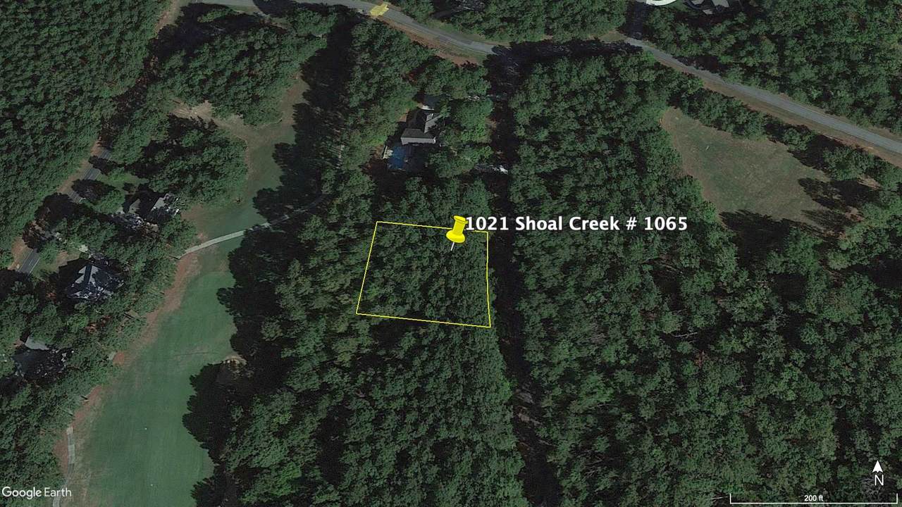 1021 Shoal Creek Court - Photo 1