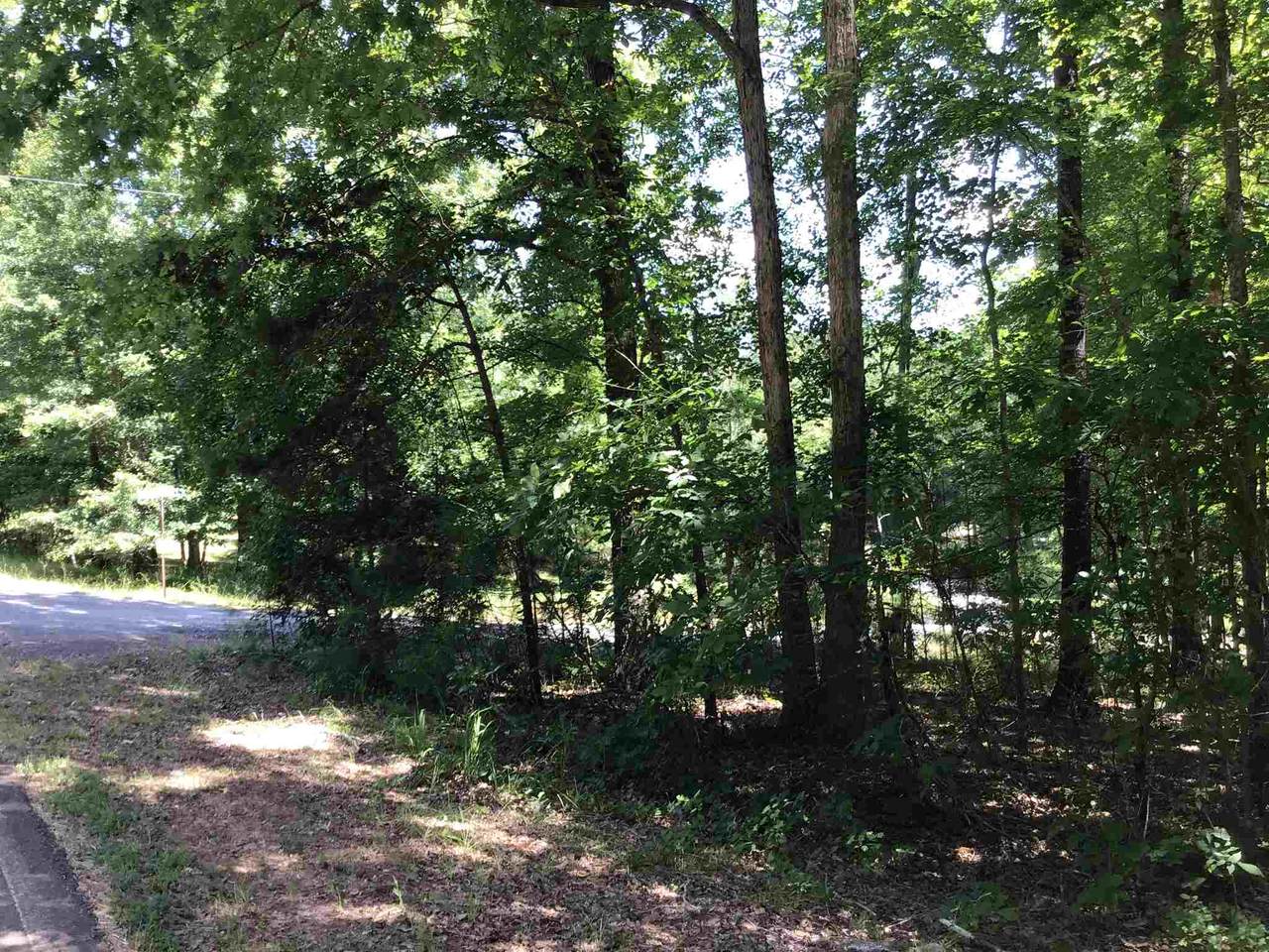 0 Lakeview Estates Lane - Photo 1