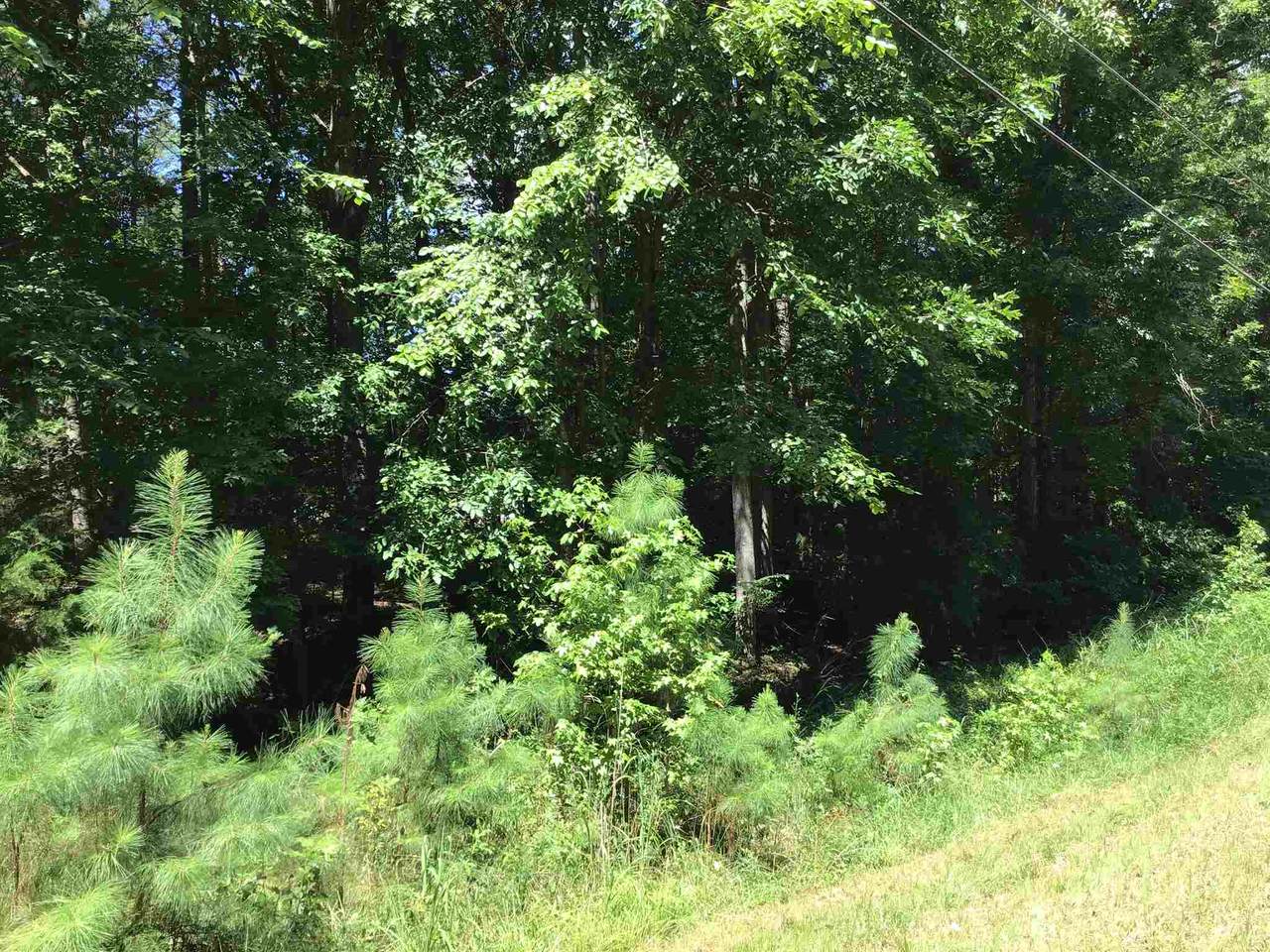 0 Lakeview Estates Lane - Photo 1