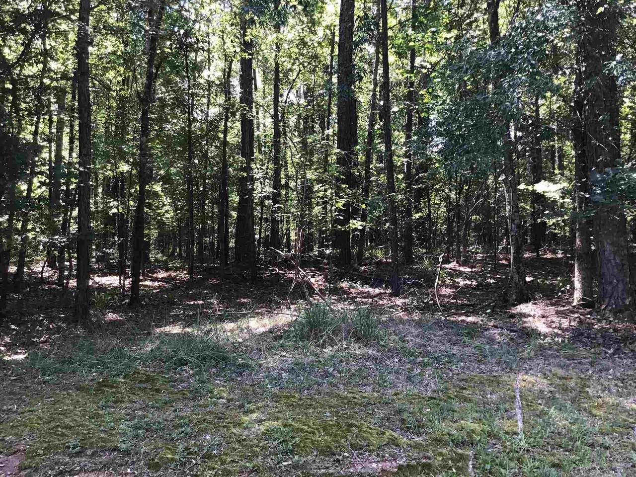 0 Lakeview Estates Lane - Photo 1