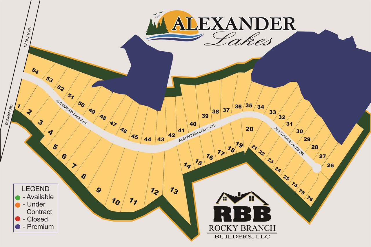 154 Alexander Lakes Drive - Photo 1
