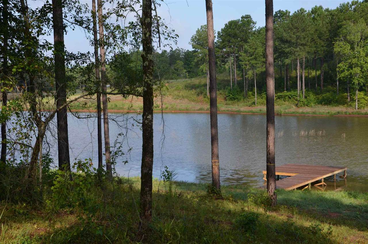 475 Pea Ridge Road - Photo 1