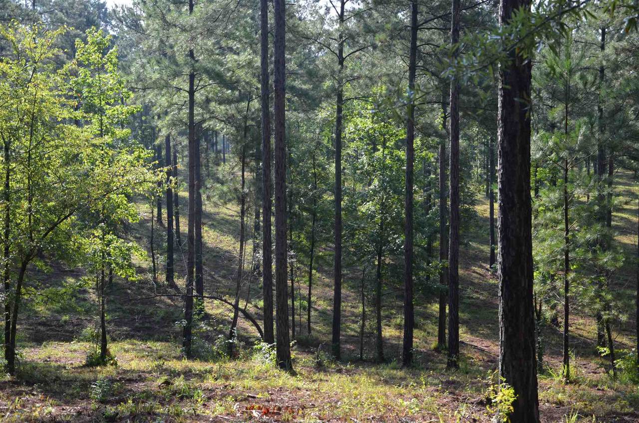475 Pea Ridge Road - Photo 1