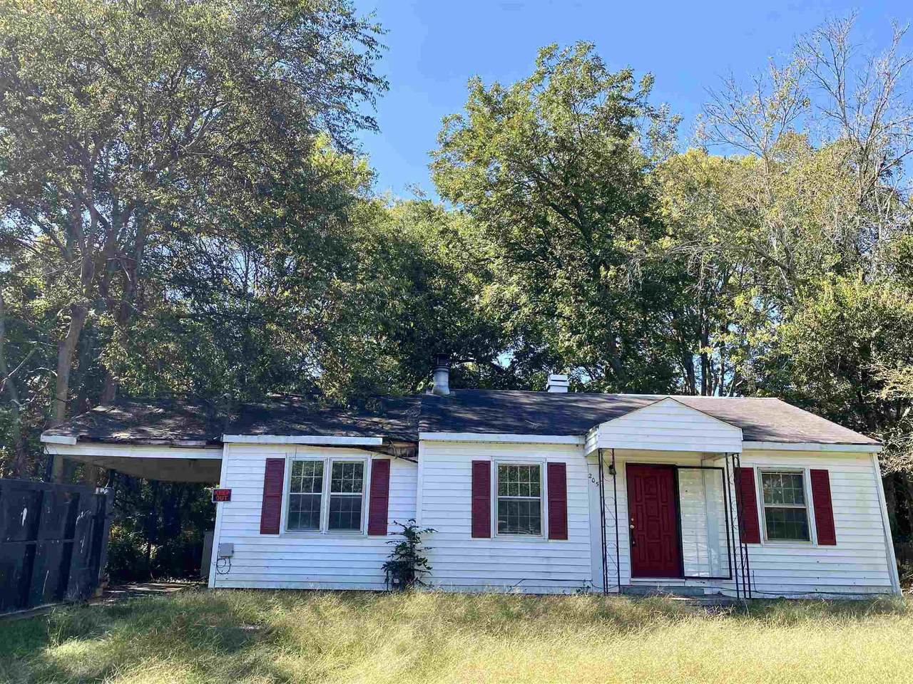 205 Uncle Remus Court - Photo 1