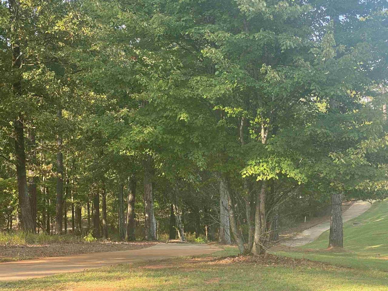 1080 Griffin Creek - Photo 1