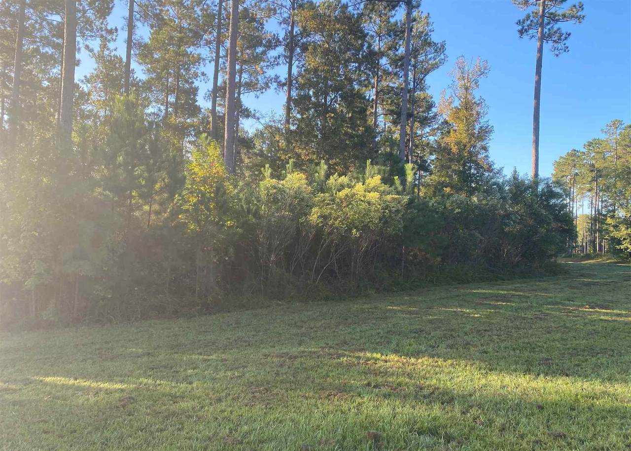 Lot 40 Waterside Drive - Photo 1