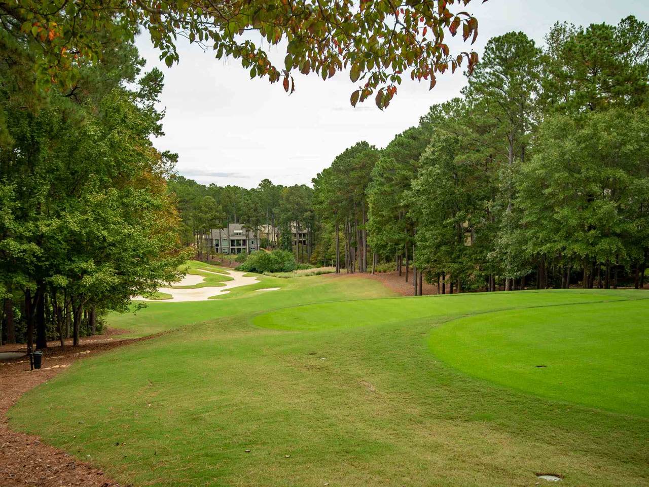 1001 Brookside Spur - Photo 1