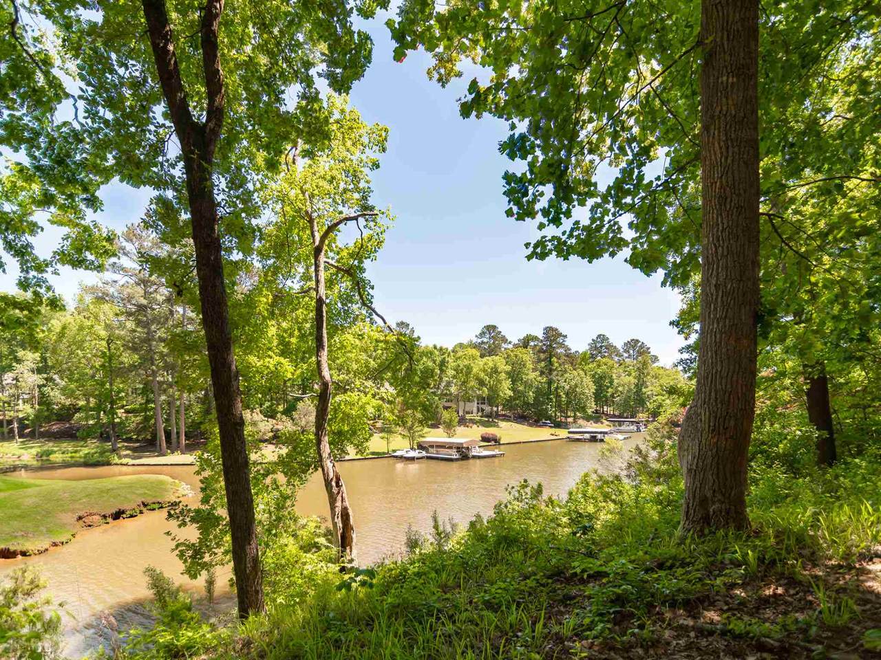 1330 Dejarnet Place - Photo 1