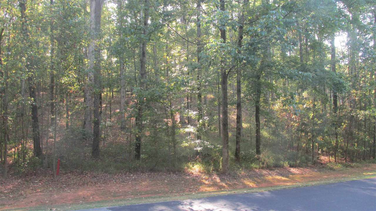 1171 Callahans Ridge Road - Photo 1