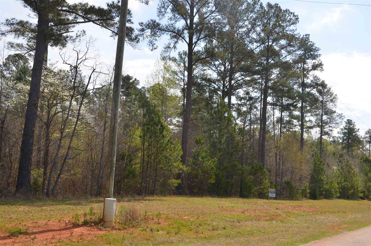 Lot #37 Sammons Parkway - Photo 1