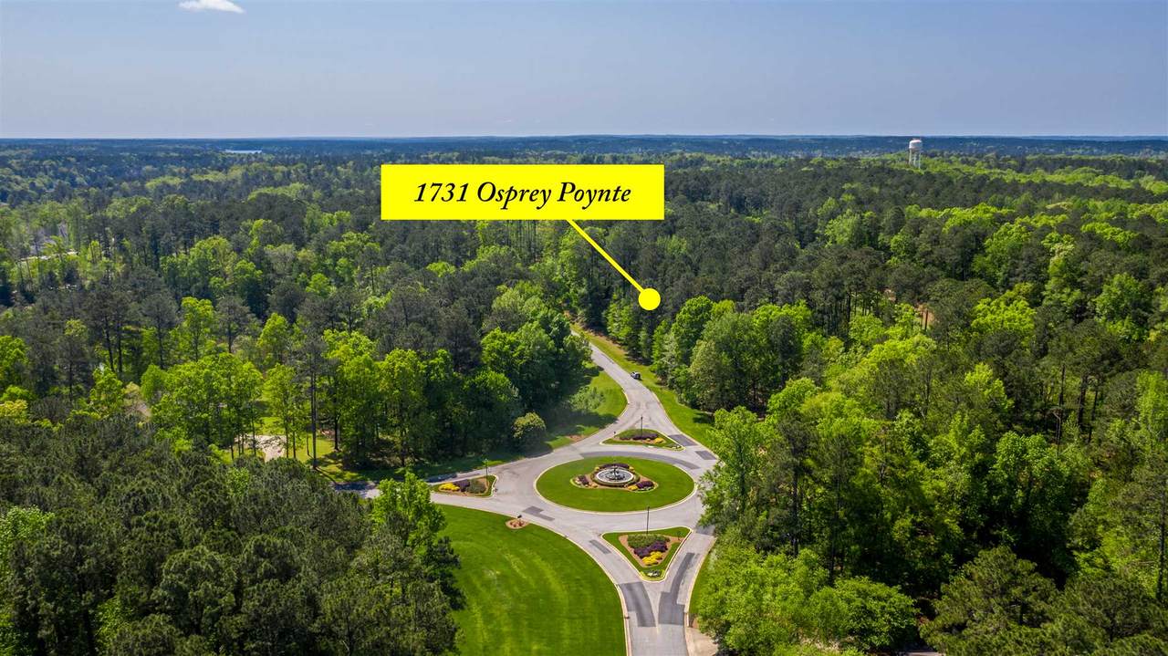 1731 Osprey Poynte - Photo 1