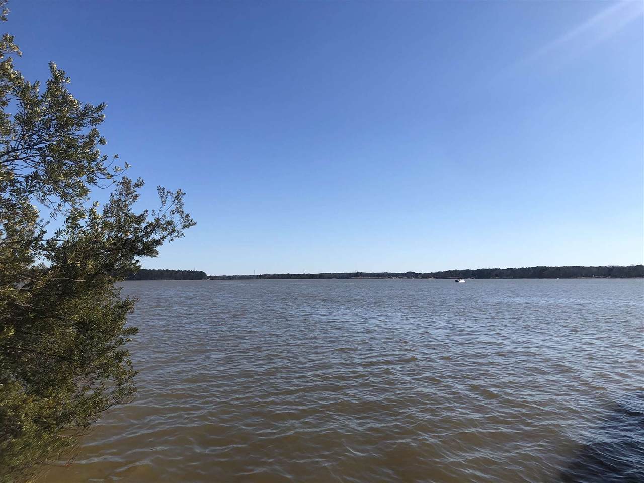 1920 Garners Ferry - Photo 1