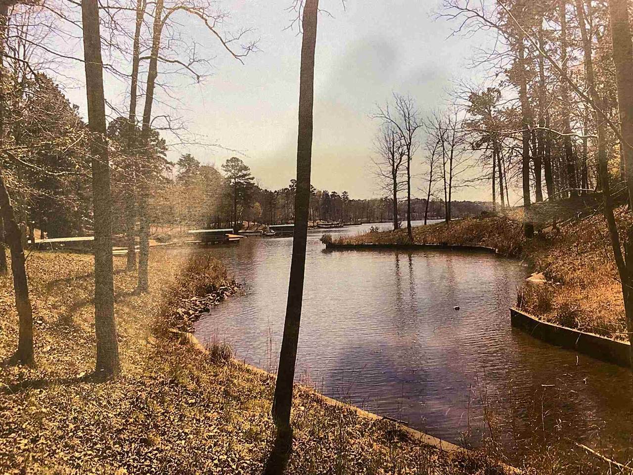 1040 Liberty Bluff Lane - Photo 1