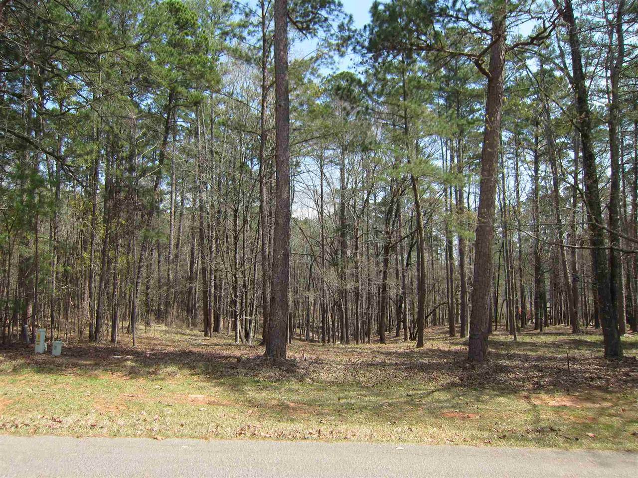 1021 Tallesse Trail - Photo 1