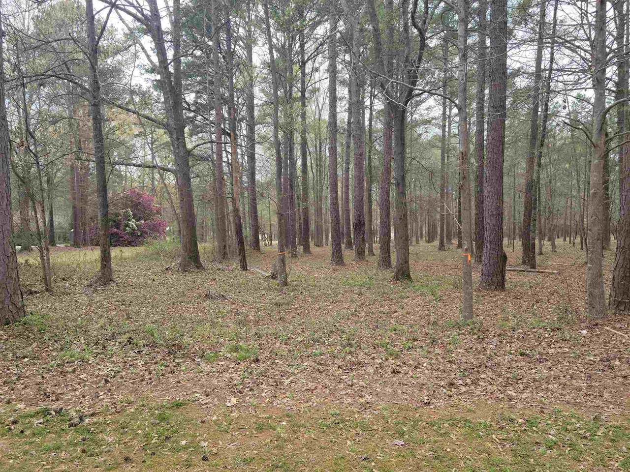 108 Porterfield Drive - Photo 1