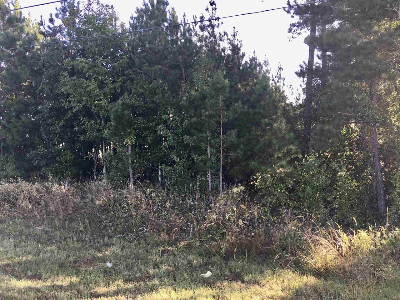 2721 Columbia Street - Photo 1