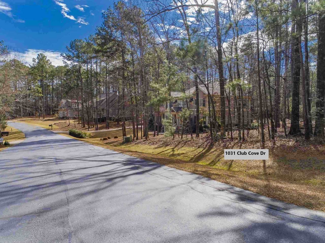 1031 Club Cove Drive - Photo 1