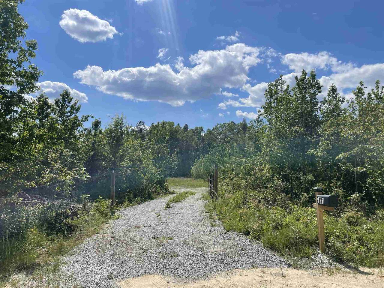 2131 Grey Land Road - Photo 1