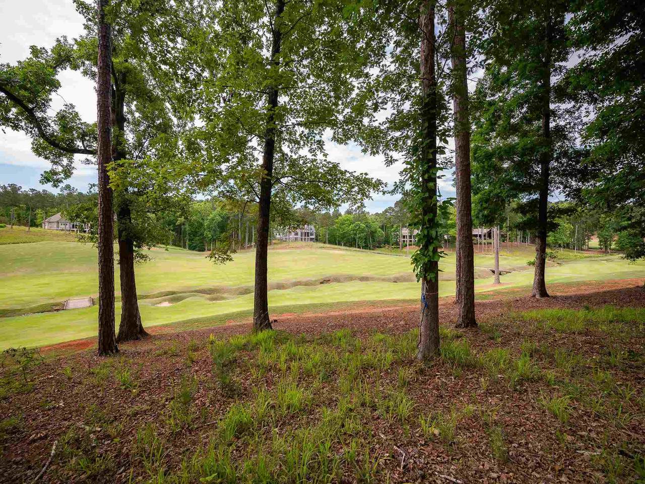 1010 Creek Bluff - Photo 1