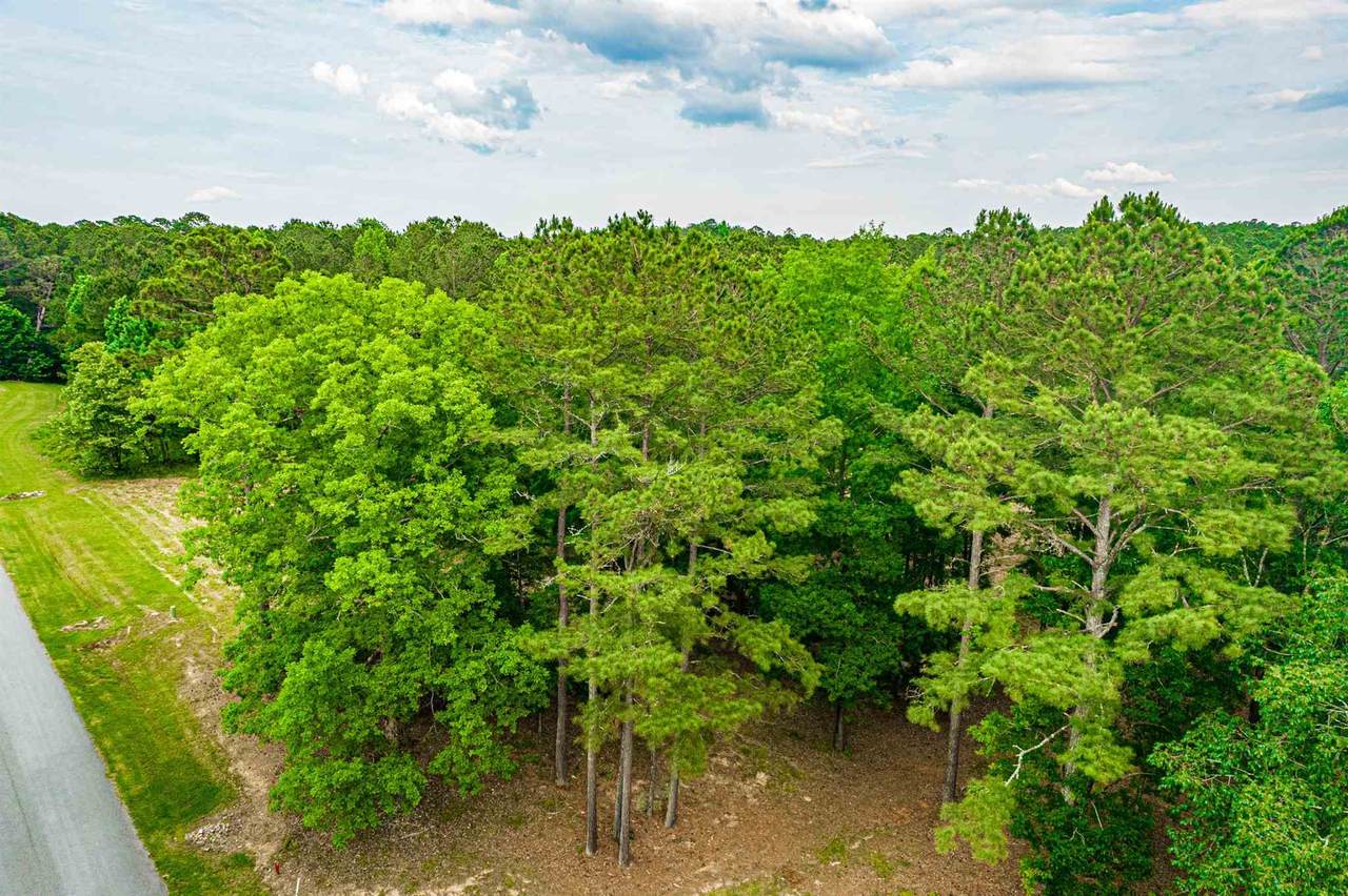 1041 Forrest Highlands - Photo 1
