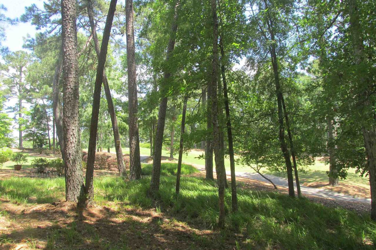 1020 Hardwood Hollow - Photo 1