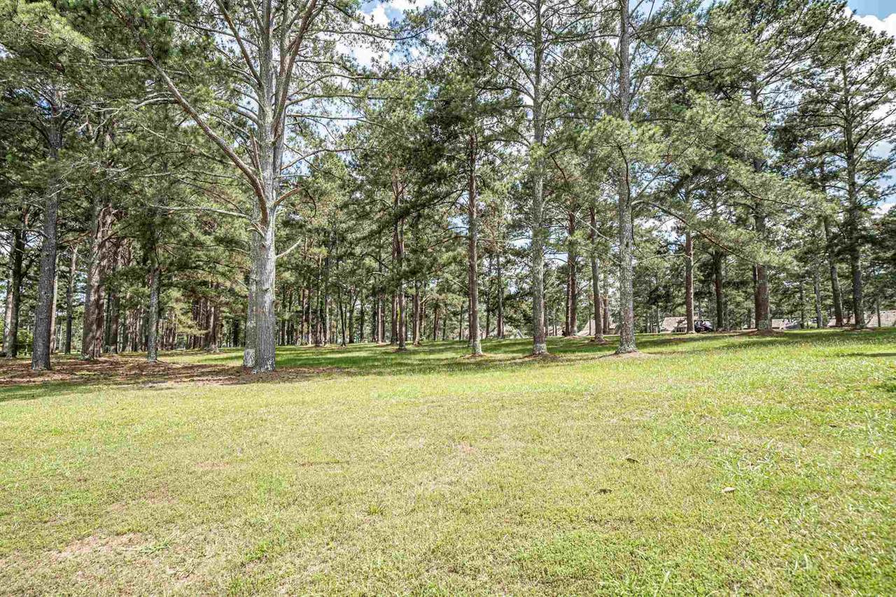 Lot 19 L Mc Gehees Trail - Photo 1