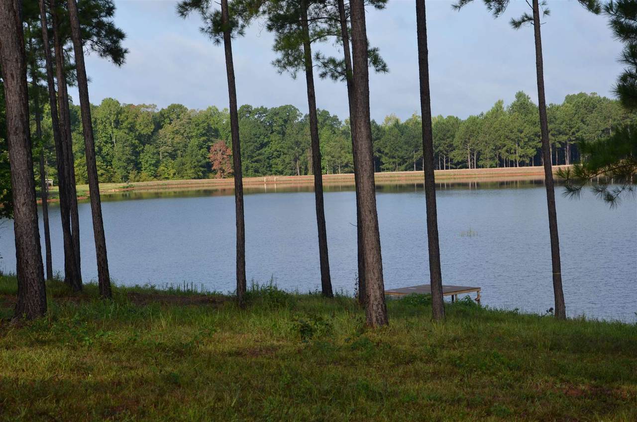 Lot #5 475 Pea Ridge Road - Photo 1