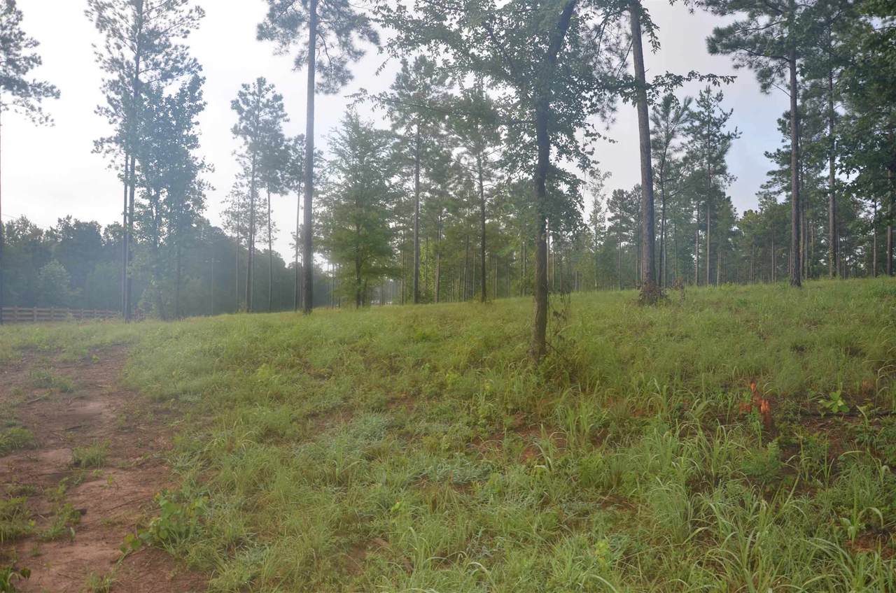 Lot #13 475 Pea Ridge Road - Photo 1
